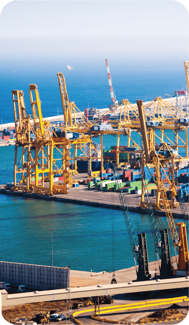 Nhập khẩu chính ngạch