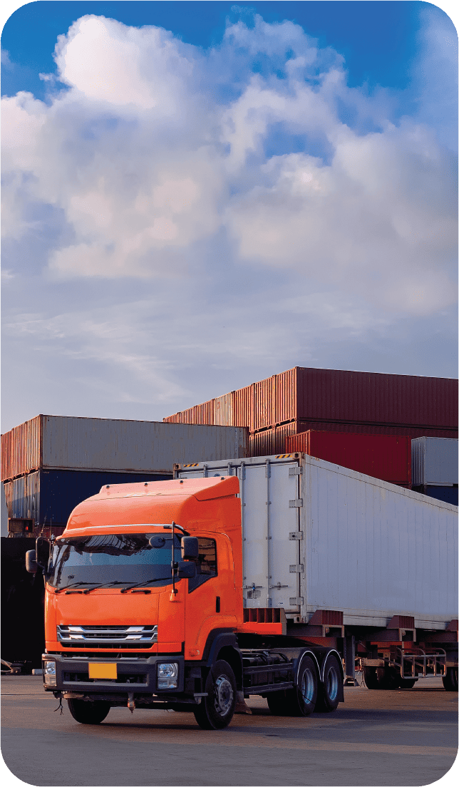 Nhập khẩu chính ngạch