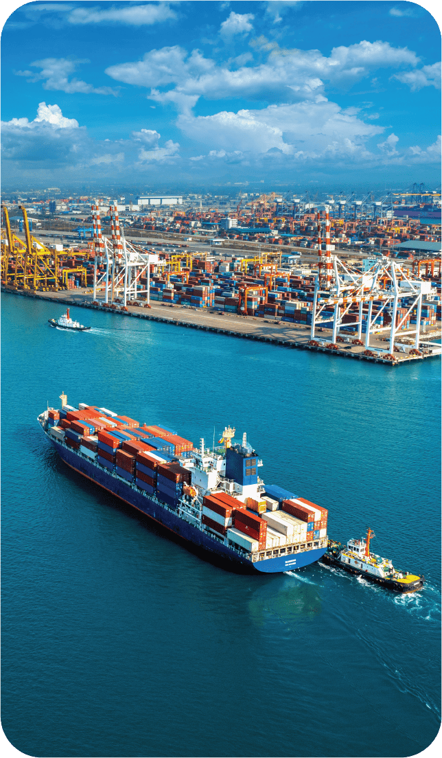 Nhập khẩu chính ngạch