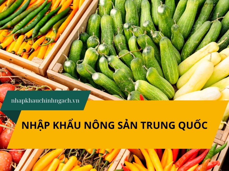 Thủ tục nhập khẩu nông sản Trung Quốc 2026 chi tiết A-Z