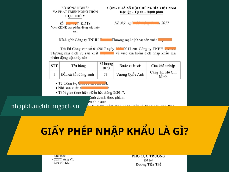 Giấy phép nhập khẩu là gì? Khái niệm, phân loại và quy trình cấp phép