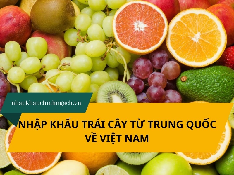 Quy trình nhập khẩu trái cây từ Trung Quốc về Việt Nam 2026